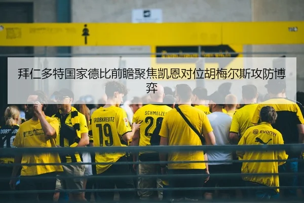 拜仁多特国家德比前瞻聚焦凯恩对位胡梅尔斯攻防博弈